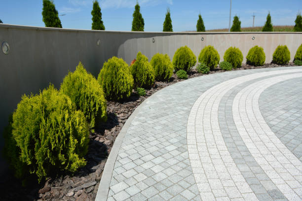 Driveway Repair Near Me in Shafer, MN